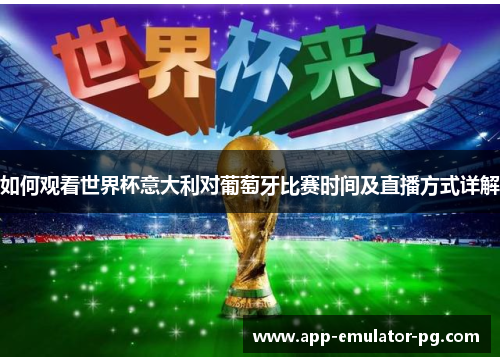 如何观看世界杯意大利对葡萄牙比赛时间及直播方式详解