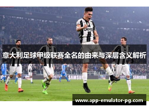 意大利足球甲级联赛全名的由来与深层含义解析