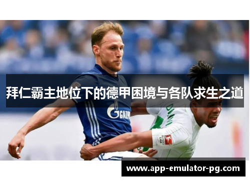 拜仁霸主地位下的德甲困境与各队求生之道