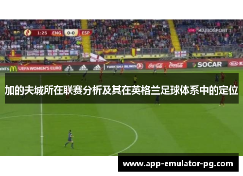 加的夫城所在联赛分析及其在英格兰足球体系中的定位 加的夫城所在联赛分析及其在英格兰足球体系中的定位